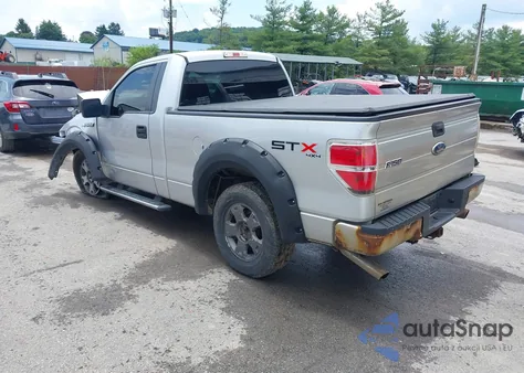 2010 Ford F-150 Stx/Xl/Xlt z USA, uszkodzony, nr VIN 1FTMF1E80AKB48627